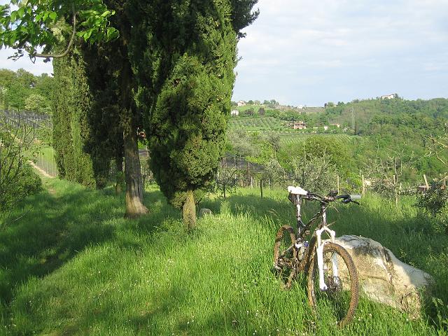 bici 036A.jpg